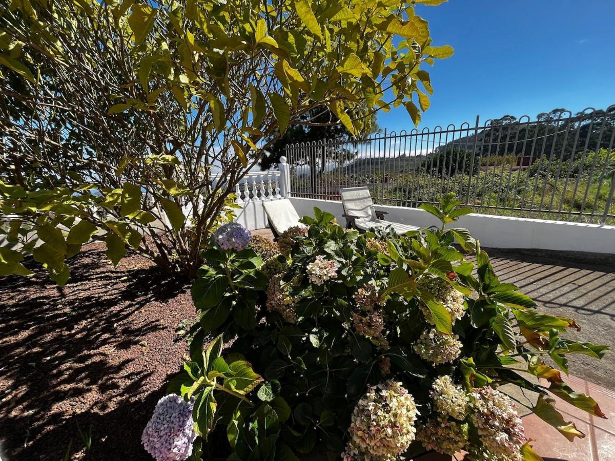 Lightbooking Agua Garcia Tacoronte Con Terraza Exterior foto